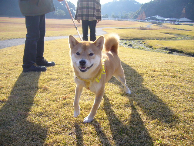 １２月１８日（火）愛ちゃん、未知との遭遇！_f0060461_1381836.jpg