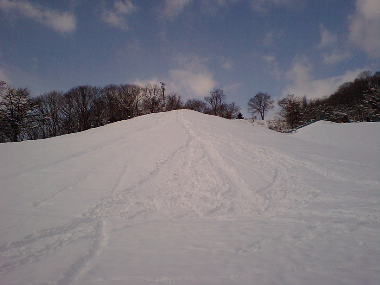 d0098665_18274069.jpg