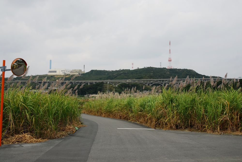 c0132571_7474228.jpg