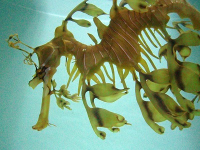 c0105785_94759.jpg