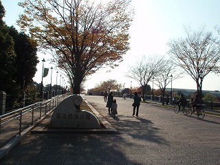 c0105785_94991.jpg