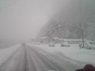 e0070286_0175163.jpg