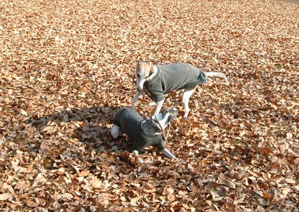f0094391_05411.jpg