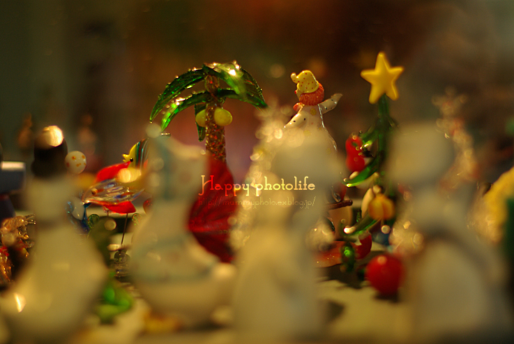 Christmas of fantasy land☆_c0116710_17434174.jpg