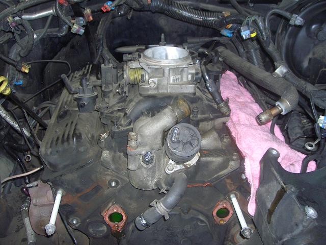 c0118011_19224719.jpg
