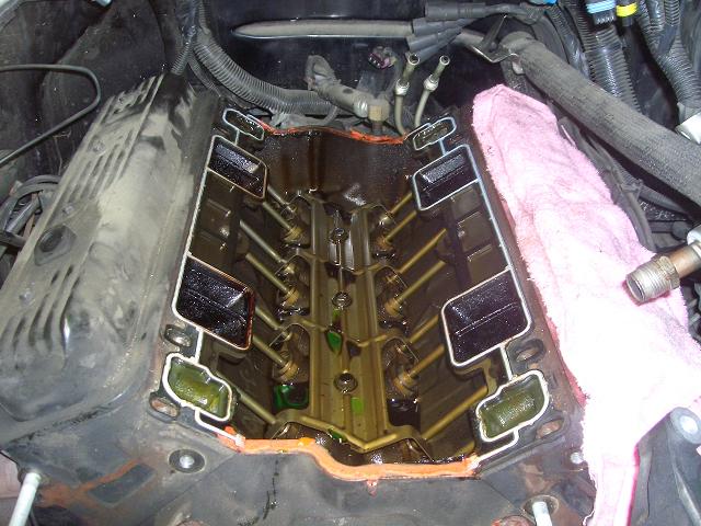 c0118011_1928010.jpg