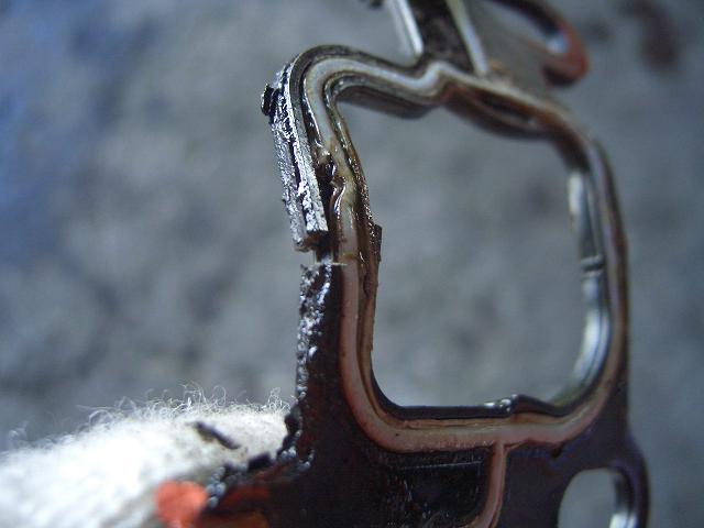 c0118011_19301256.jpg