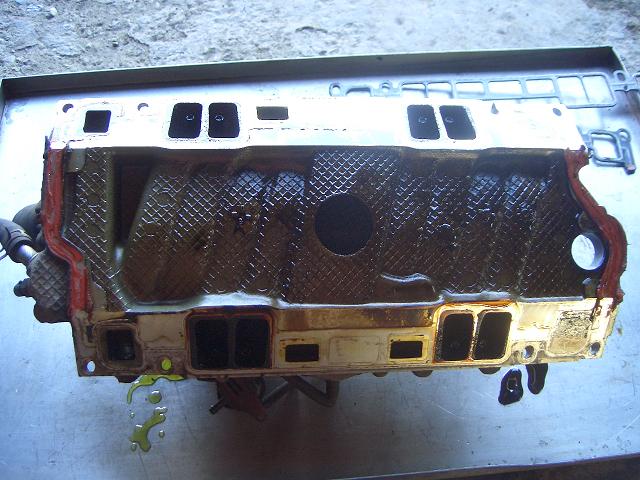 c0118011_19342121.jpg