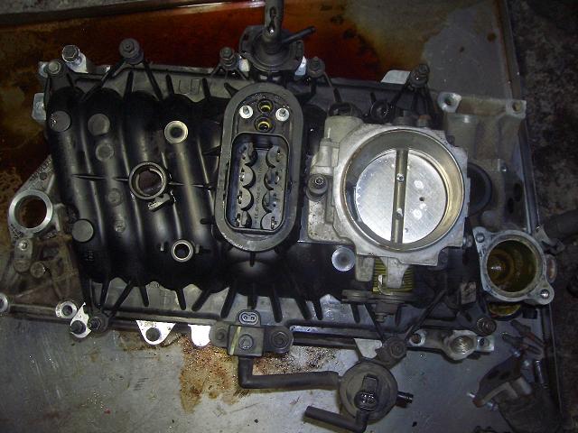 c0118011_1946813.jpg
