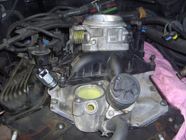 c0118011_2028158.jpg