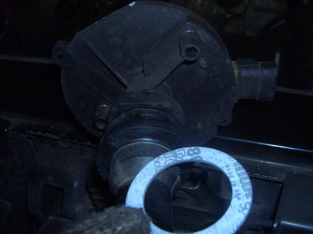 c0118011_20295535.jpg