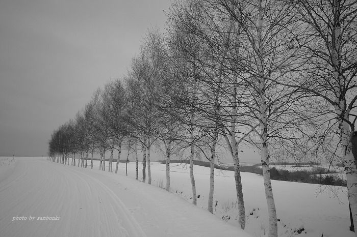 f0139911_2131115.jpg