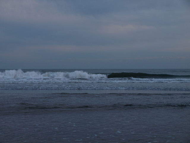 f0154033_41527.jpg