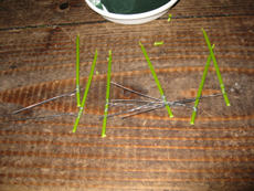 e0110940_10293735.jpg