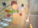 d0010742_051488.jpg