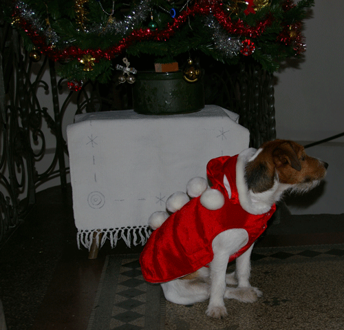 f0077150_744426.gif