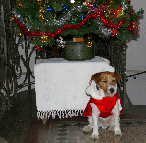 f0077150_7444510.gif
