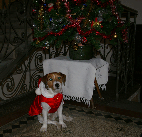 f0077150_7452147.gif