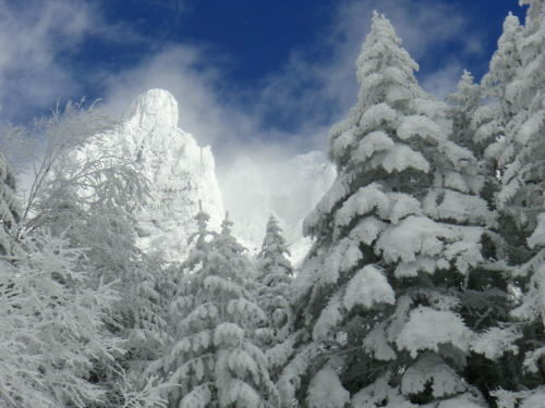 雪上訓練 on 八ヶ岳 （２日目）_b0050067_294613.jpg