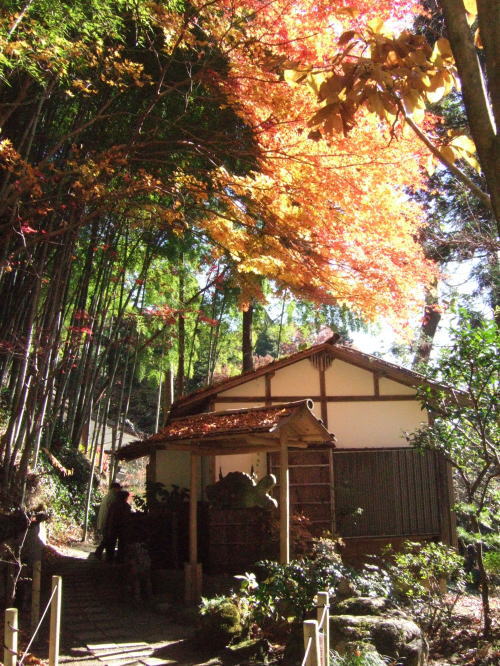 日の出山荘（歴史的建造史跡）_e0101172_1311952.jpg