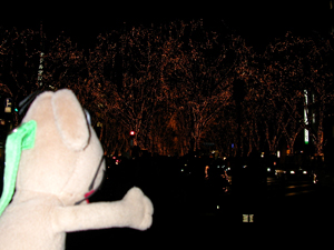 c0158573_20111298.jpg