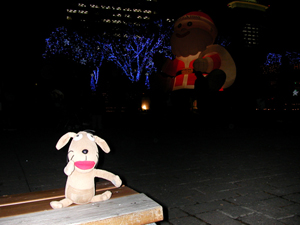 c0158573_2014598.jpg