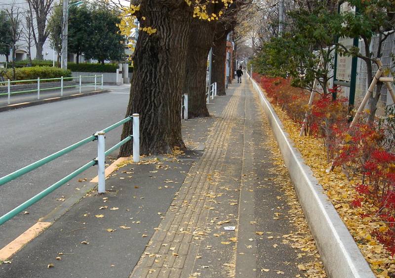 毎年のことなのですが。_f0059673_23551642.jpg