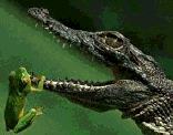 d0117077_20582712.gif