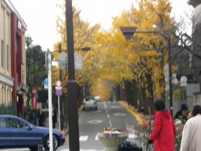 c0078480_0913.jpg
