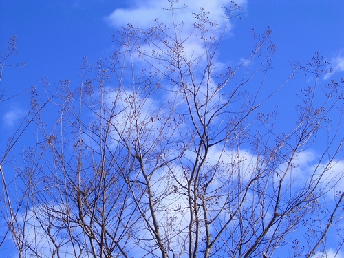 d0069498_17221856.jpg