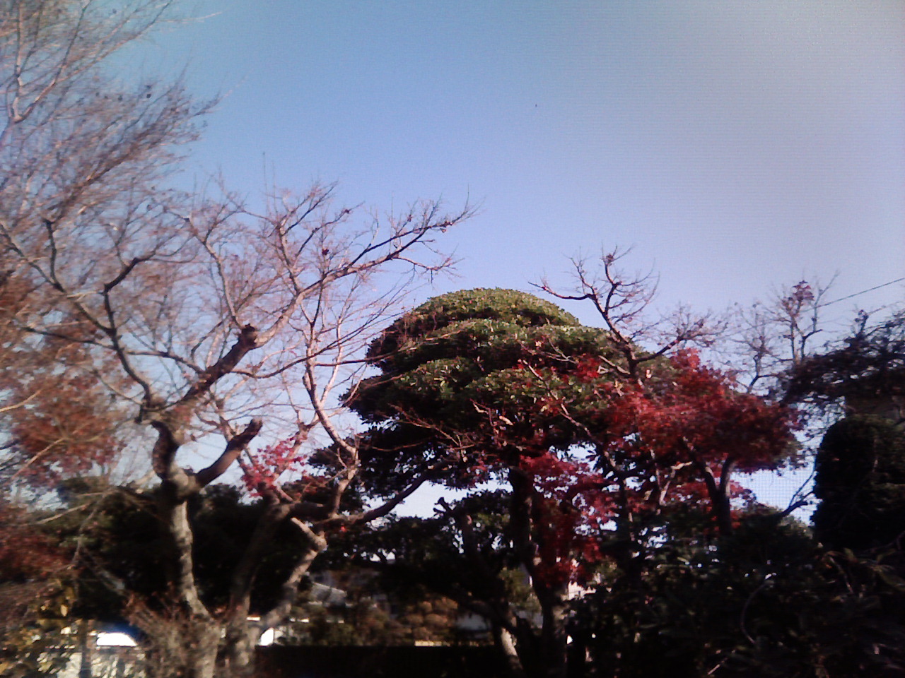 遅くなりました_f0108604_7421567.jpg