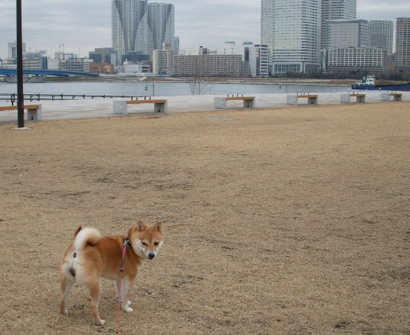 f0004309_17422093.jpg