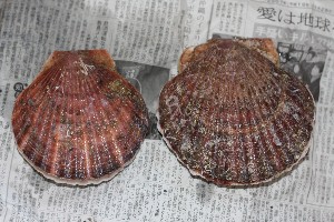 e0121710_22312429.jpg