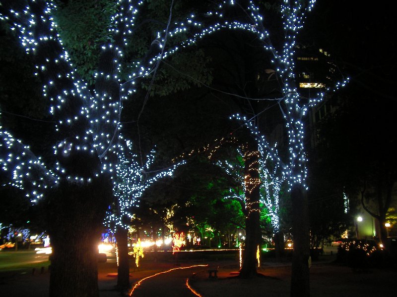 f0054610_12263119.jpg