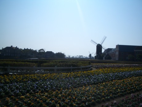 f0148410_1912917.jpg