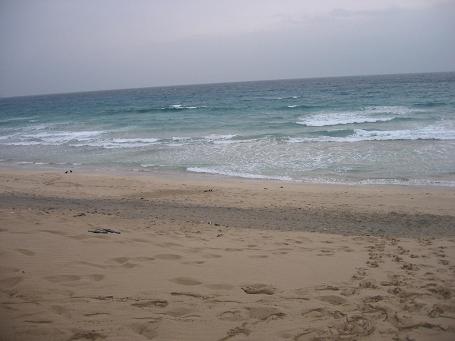 b0087914_1357054.jpg