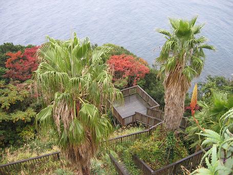 b0087914_1358215.jpg