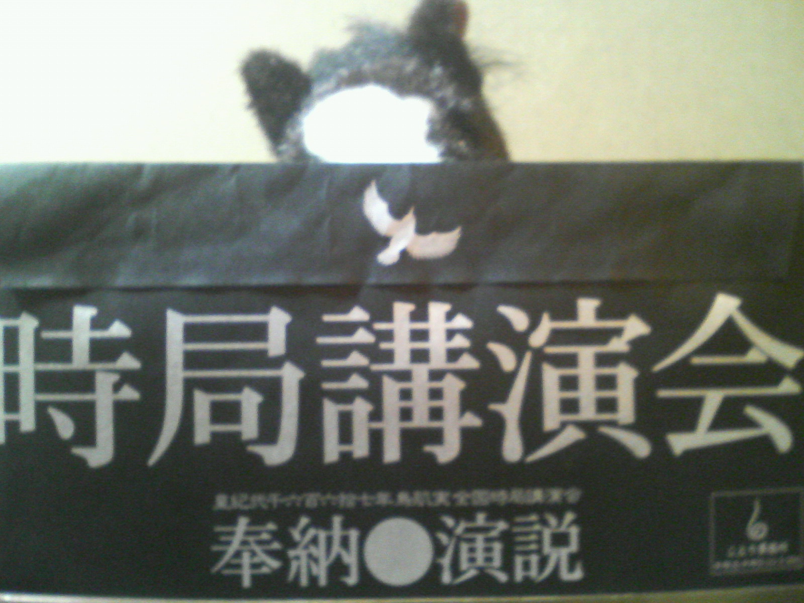 c0130614_21453376.jpg