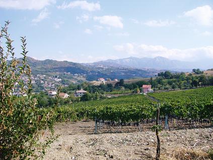c0159117_20445610.jpg