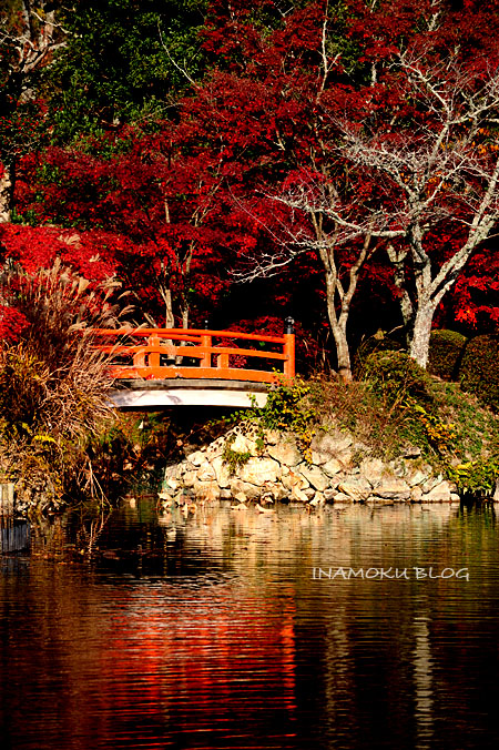 京都嵯峨野12月1日・その3_c0007918_14431499.jpg