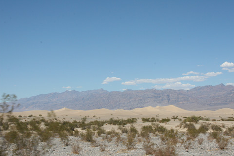 a0097322_1121566.jpg
