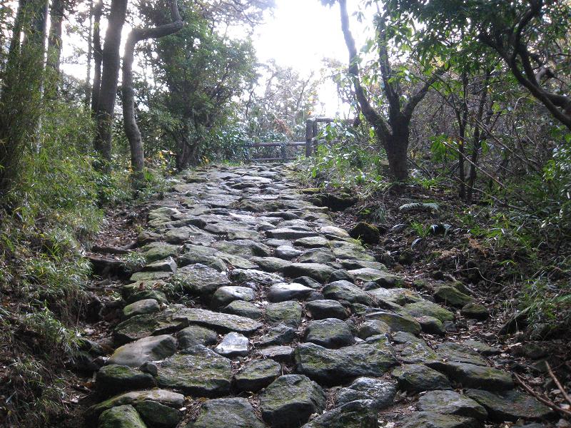 ブロンプトンでいく東海道 Bromptonでポタリング ブロンプトンでいく東海道 Bromptonでポタリング