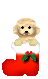 c0114128_7505539.gif