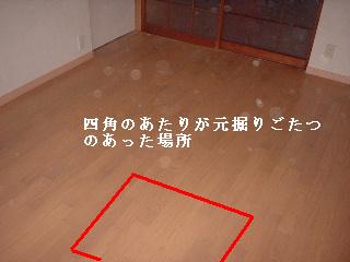 リフォーム13日目_f0031037_1622768.jpg