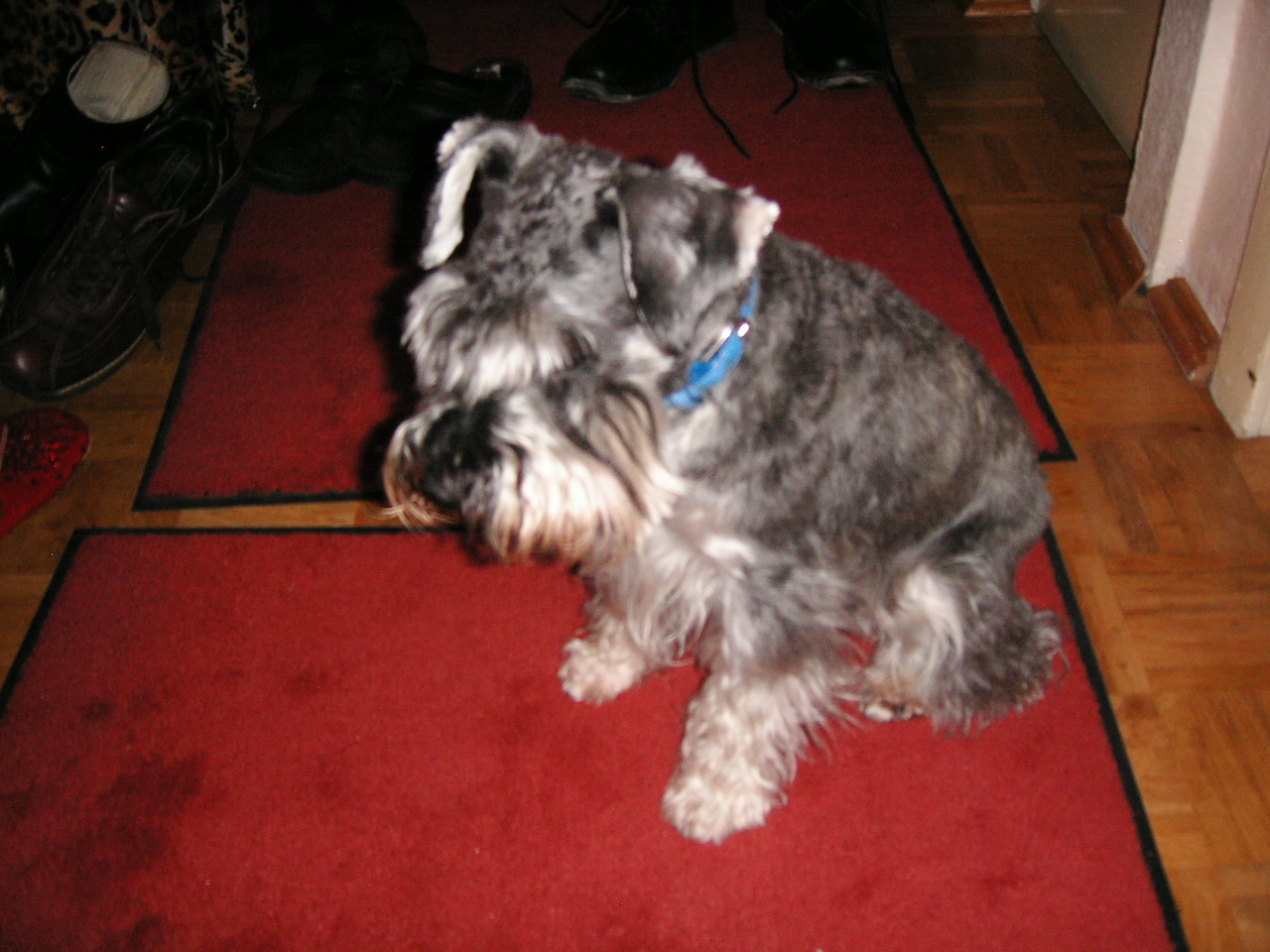 c0153740_1394620.jpg
