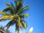e0077152_3152862.jpg