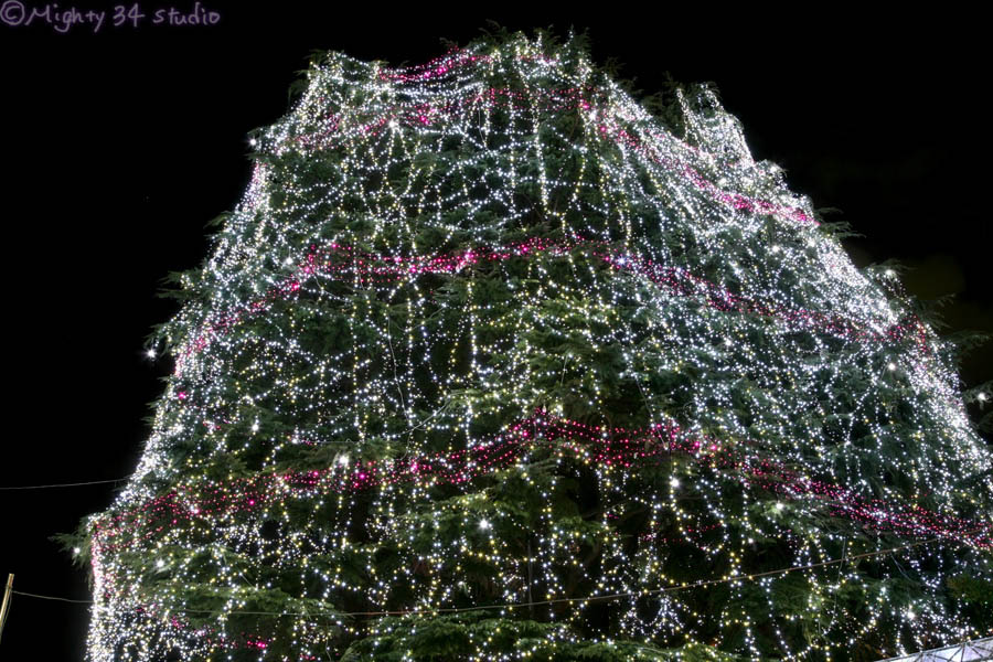 f0006253_1938055.jpg