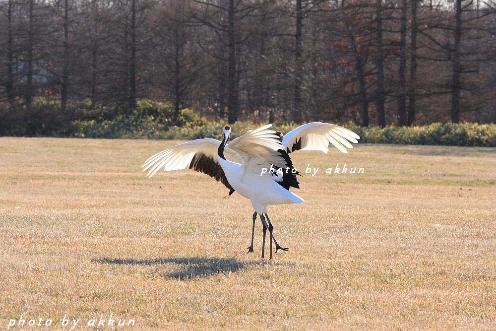 峠の小焼けより～_a0039860_19301456.jpg