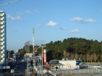 c0108460_2391218.jpg