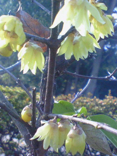 e0009760_9321332.jpg
